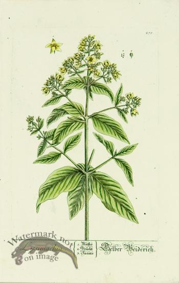 Blackwell German 048